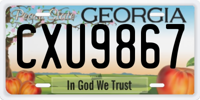 GA license plate CXU9867