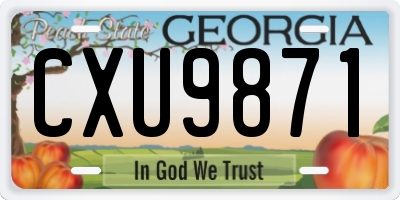 GA license plate CXU9871