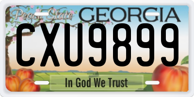 GA license plate CXU9899