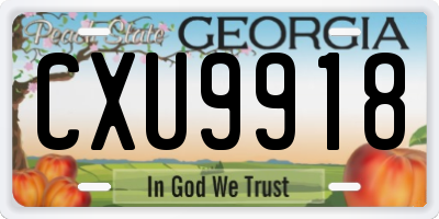 GA license plate CXU9918