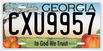 GA license plate CXU9957