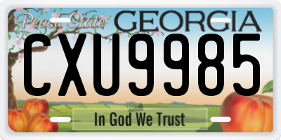 GA license plate CXU9985