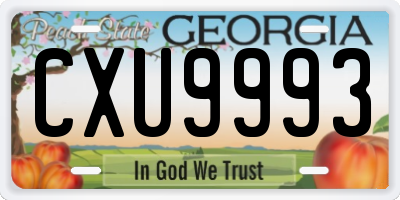 GA license plate CXU9993