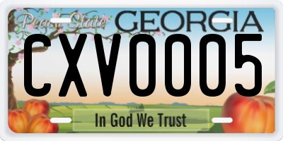 GA license plate CXV0005