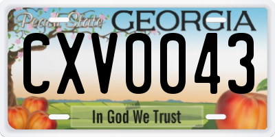 GA license plate CXV0043