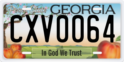GA license plate CXV0064