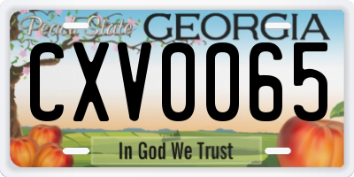 GA license plate CXV0065