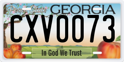 GA license plate CXV0073