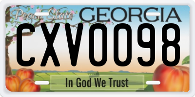 GA license plate CXV0098