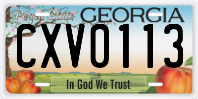 GA license plate CXV0113