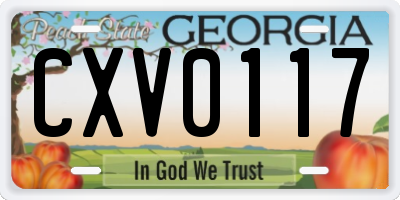 GA license plate CXV0117