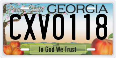 GA license plate CXV0118