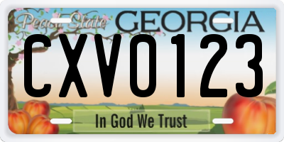 GA license plate CXV0123