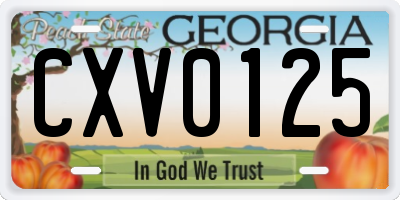 GA license plate CXV0125