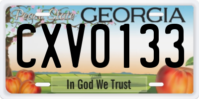 GA license plate CXV0133