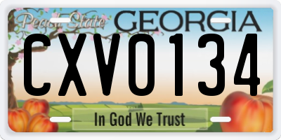 GA license plate CXV0134