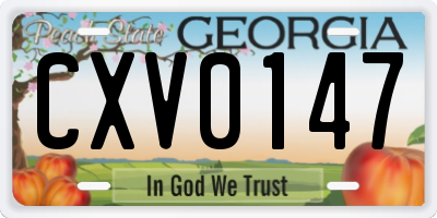 GA license plate CXV0147