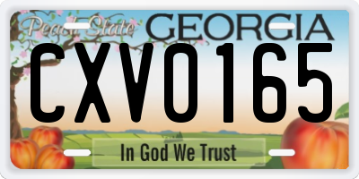 GA license plate CXV0165