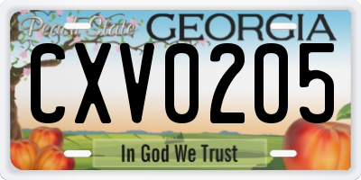 GA license plate CXV0205