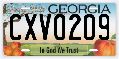 GA license plate CXV0209