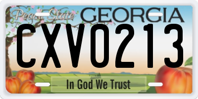 GA license plate CXV0213