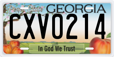 GA license plate CXV0214