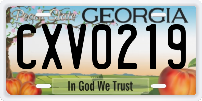 GA license plate CXV0219