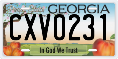 GA license plate CXV0231