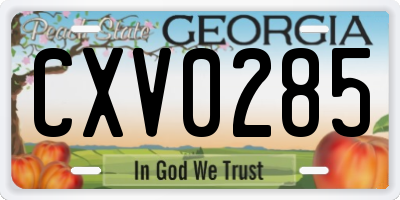 GA license plate CXV0285