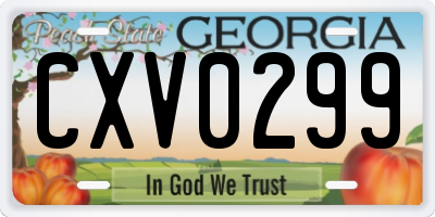 GA license plate CXV0299