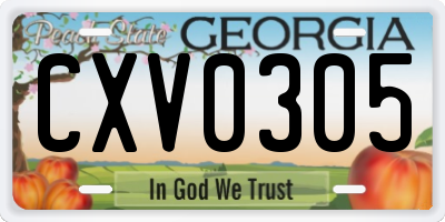 GA license plate CXV0305