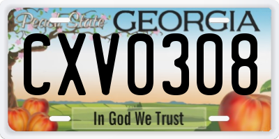 GA license plate CXV0308