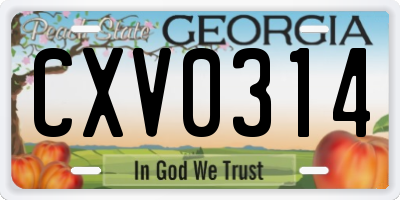 GA license plate CXV0314