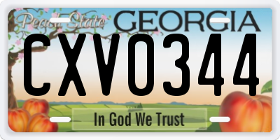 GA license plate CXV0344