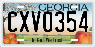 GA license plate CXV0354