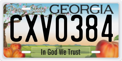 GA license plate CXV0384