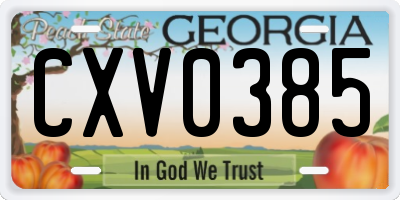 GA license plate CXV0385