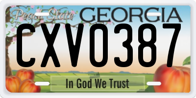 GA license plate CXV0387