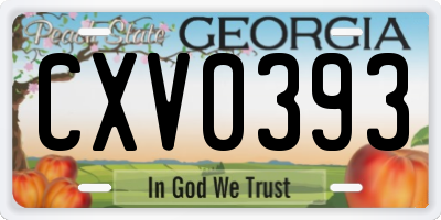 GA license plate CXV0393
