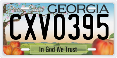 GA license plate CXV0395