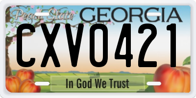 GA license plate CXV0421