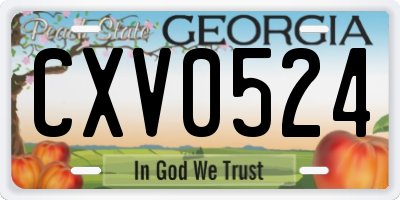 GA license plate CXV0524