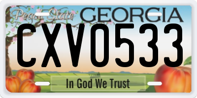 GA license plate CXV0533