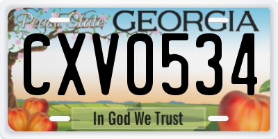 GA license plate CXV0534