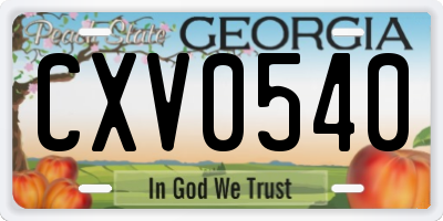 GA license plate CXV0540