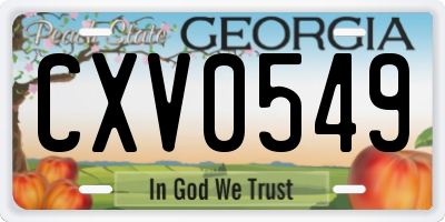 GA license plate CXV0549
