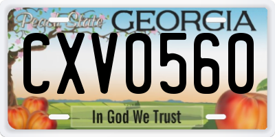 GA license plate CXV0560