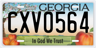 GA license plate CXV0564