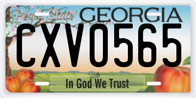 GA license plate CXV0565