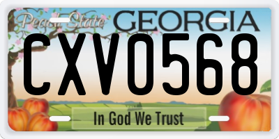 GA license plate CXV0568
